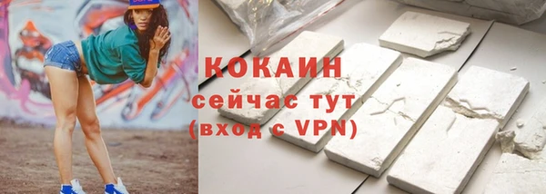 ешки Новодвинск