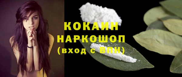 мет Новозыбков