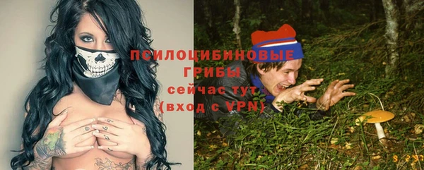 ешки Новодвинск