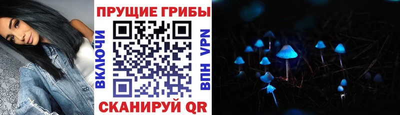 Псилоцибиновые грибы мицелий  Райчихинск 